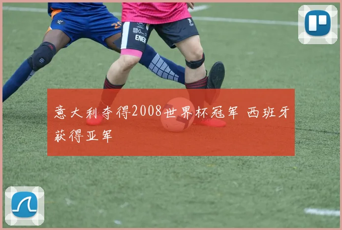 意大利夺得2008世界杯冠军 西班牙获得亚军