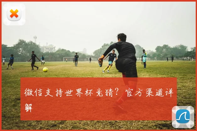 微信支持世界杯竞猜？官方渠道详解