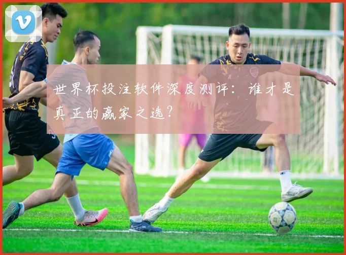 世界杯投注软件深度测评：谁才是真正的赢家之选？