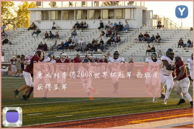 意大利夺得2008世界杯冠军 西班牙获得亚军