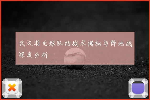 武汉羽毛球队的战术揭秘与阵地战深度分析