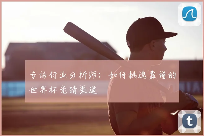 专访行业分析师：如何挑选靠谱的世界杯竞猜渠道