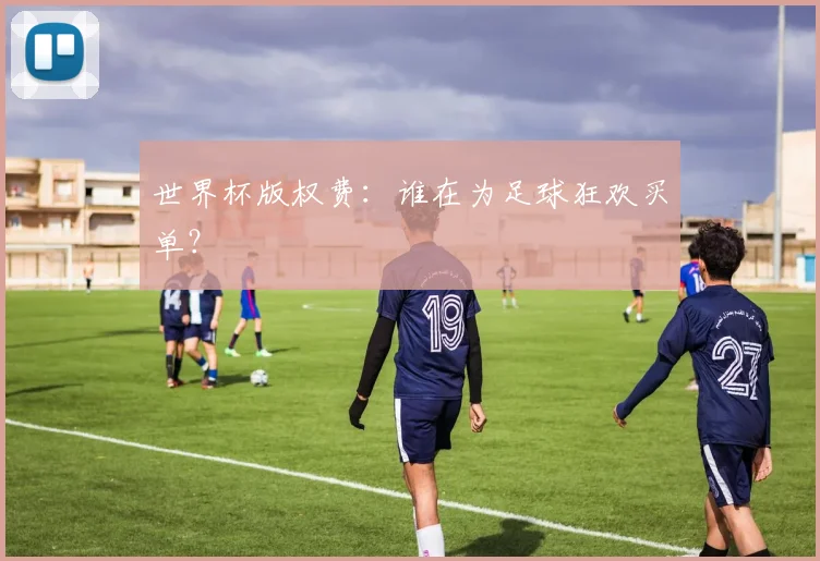 世界杯版权费：谁在为足球狂欢买单？