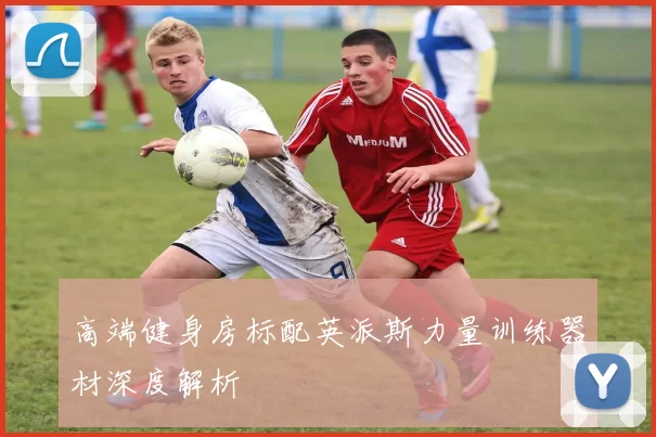 高端健身房标配英派斯力量训练器材深度解析