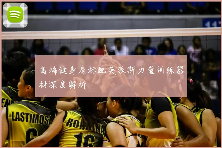 高端健身房标配英派斯力量训练器材深度解析