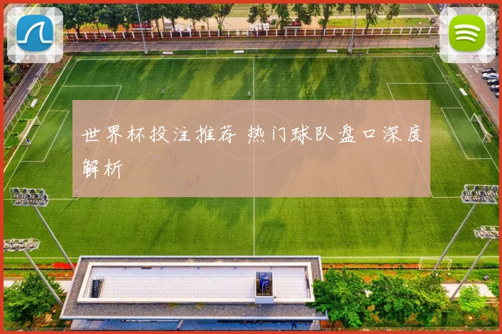 世界杯投注推荐 热门球队盘口深度解析