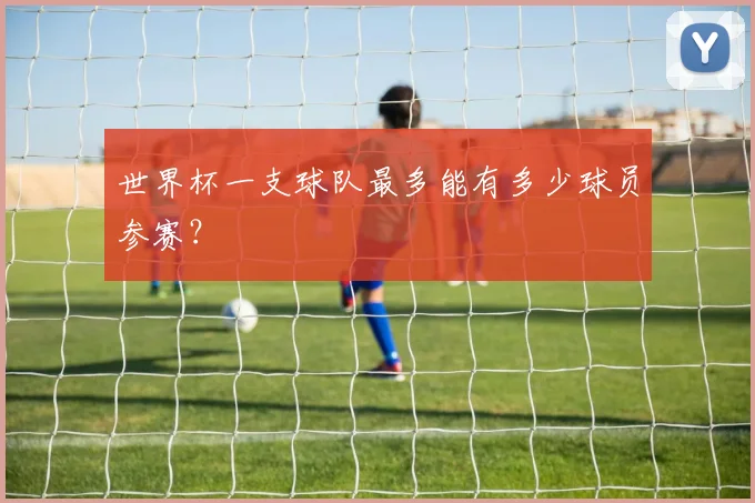 世界杯一支球队最多能有多少球员参赛？