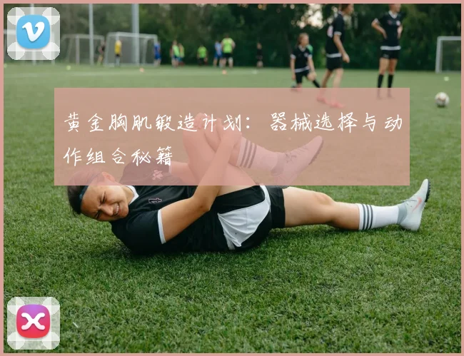 黄金胸肌锻造计划：器械选择与动作组合秘籍