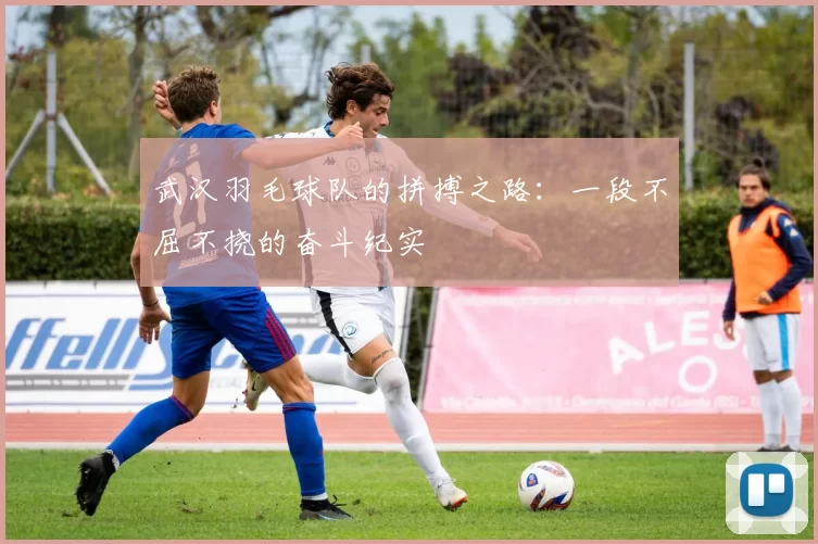 武汉羽毛球队的拼搏之路：一段不屈不挠的奋斗纪实