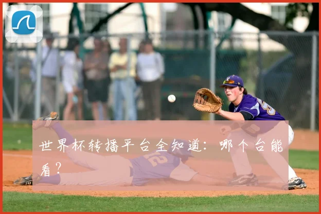 世界杯转播平台全知道：哪个台能看？